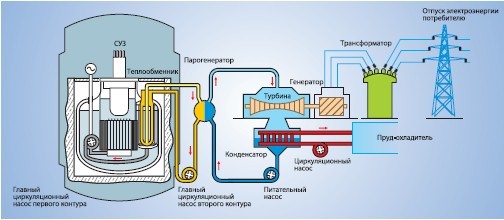 Реакторы на быстрых нейтронах (БН-600 и БН-800)