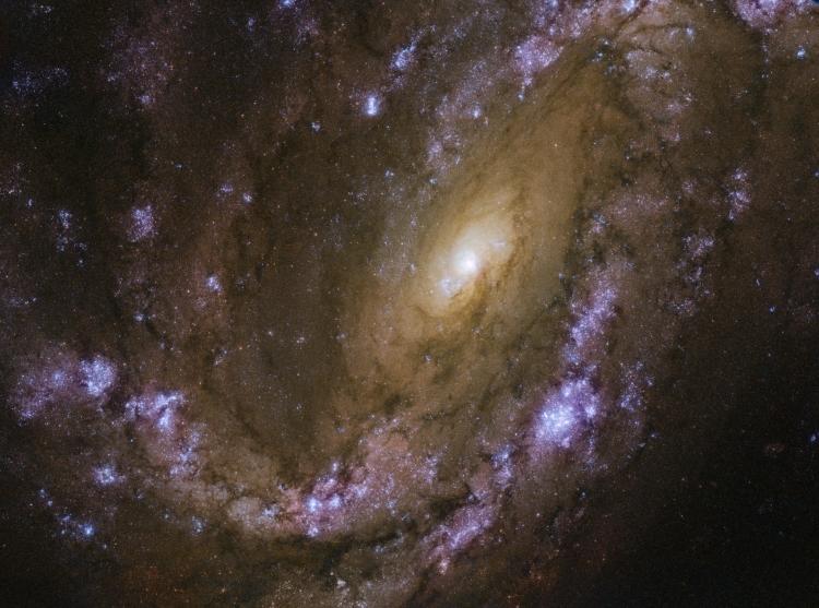 sm.galaxy1.750 1